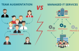 team-augmentation-vs-managed-it-services